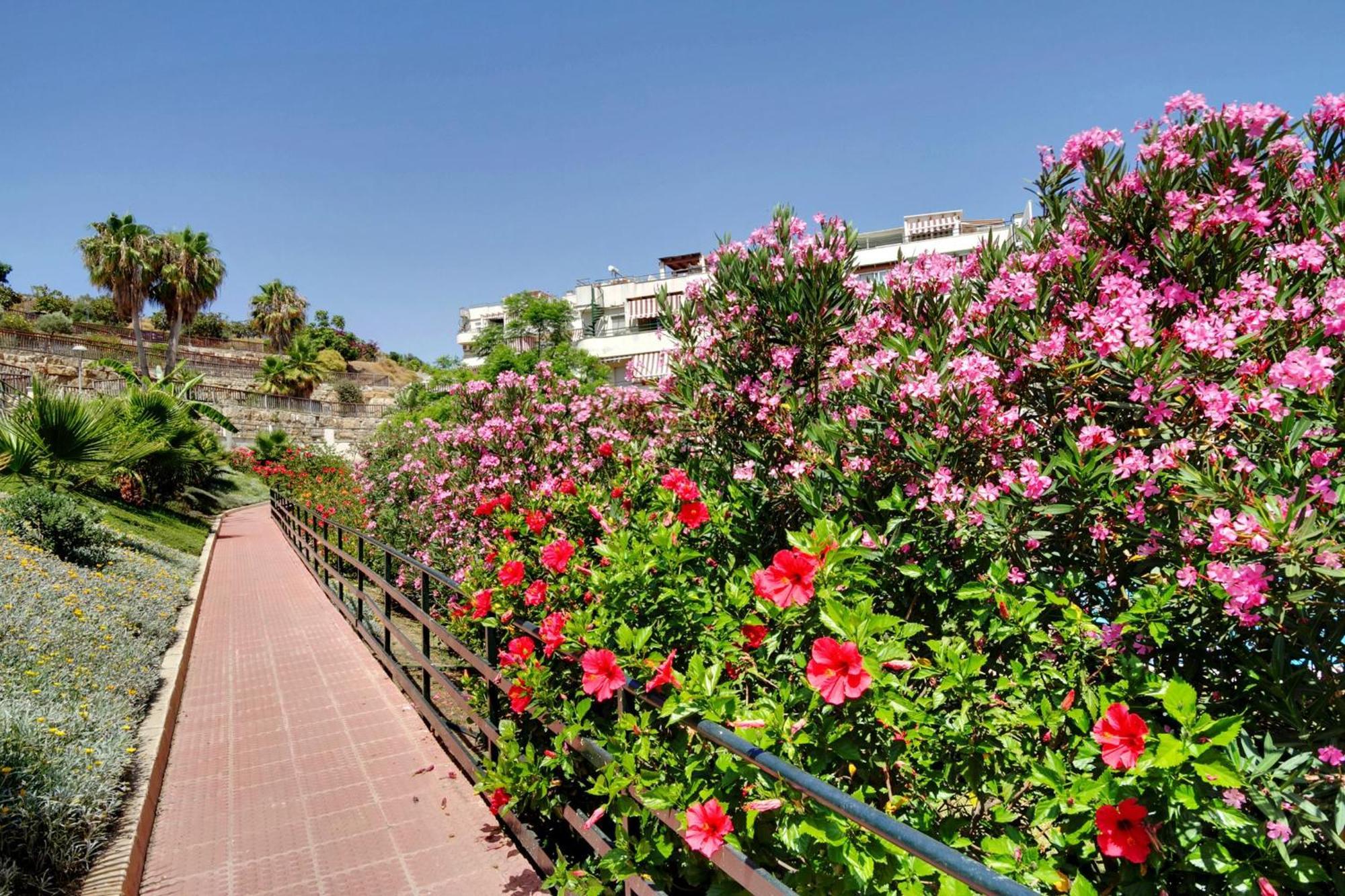 Del Parque Flats - Golf & Beach Terrace Málaga Buitenkant foto